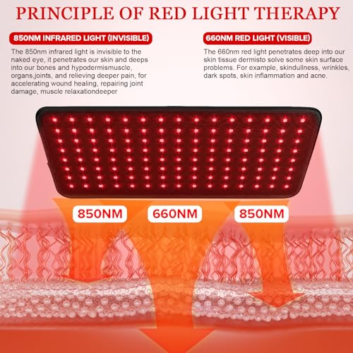 Yofalo 660nm LED Red Light and 850nm Near Infrared Red Light Therapy Belt Device for Body Pain Waist - AB Mystery