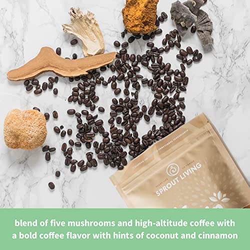 Sprout Living, Epic Protein, Plant Based Protein & Superfoods Powder, Complete Coffee - AB Mystery