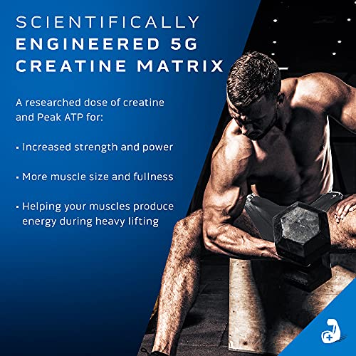Creatine Powder | MuscleTech Cell-Tech Elite Creatine Powder | Post Workout Recovery - AB Mystery