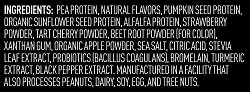 Vega Premium Sport Protein Berry Protein Powder, Vegan, Non GMO, Gluten Free Plant - AB Mystery