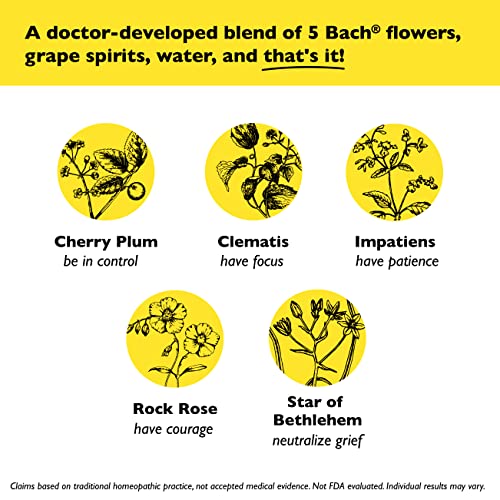 Day & Night Bundle, Bach RESCUE REMEDY Spray, Natural Stress Relief [and] RESCUE SLEEP Spray - AB Mystery