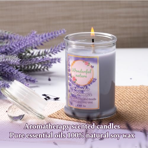 Wonderfulnature Lavender de Provence Pure Essential Oil Scented Candle, Aromatherapy - AB Mystery