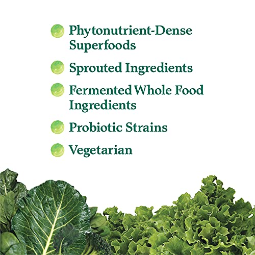 Garden of Life Perfect Food Super Green Formula - 14 Servings | 45 Superfoods, Greens - AB Mystery