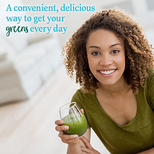 Garden of Life Perfect Food Super Green Formula - 14 Servings | 45 Superfoods, Greens - AB Mystery