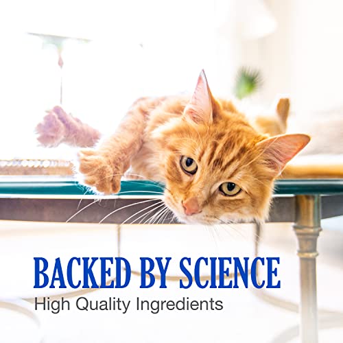 Nutramax Cobalequin B12 Supplement for Cats and Small Dogs, 45 Count (Pack of 1) - AB Mystery