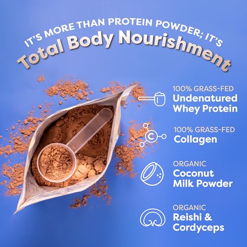 FlavCity Protein Powder Smoothie, Chocolate - 100% Grass-Fed Whey Protein Smoothie - AB Mystery