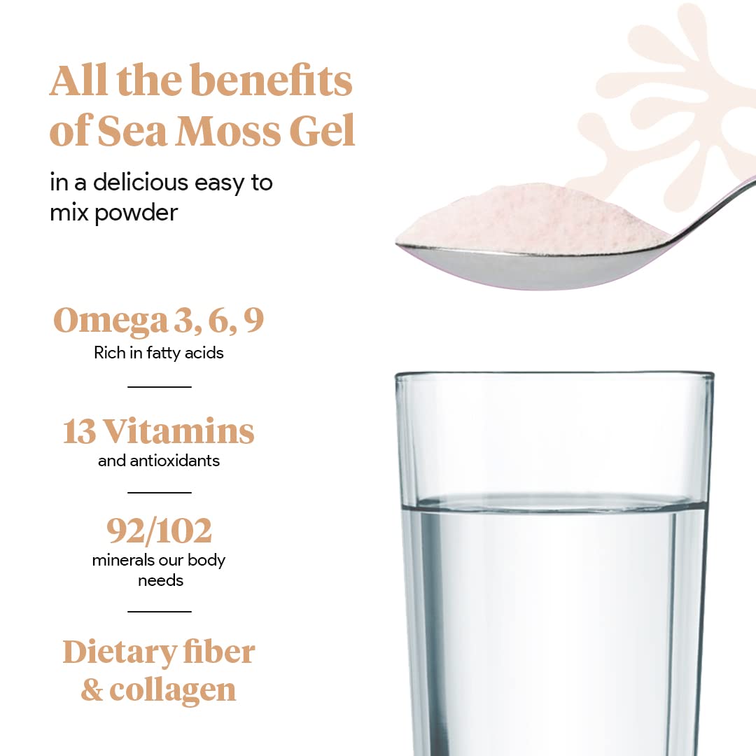 Organic Sea Moss Superfood Powder with Ashwagandha, Beet Root, and Maca - AB Mystery