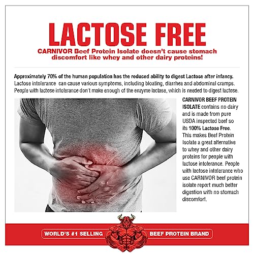 MuscleMeds, Carnivor Beef Protein Isolate Powder 56 Servings, Chocolate, 72 Ounce - AB Mystery