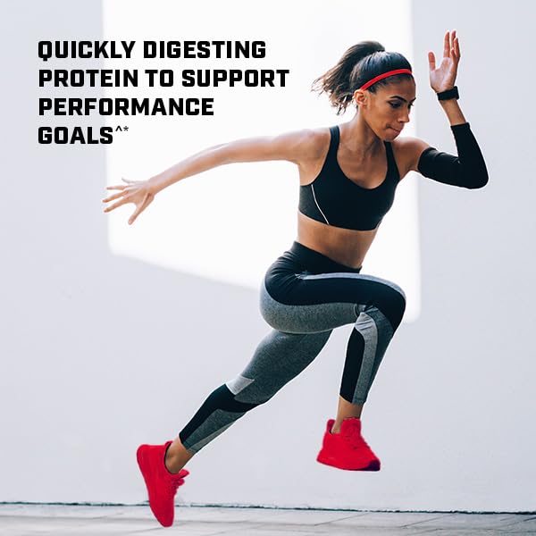 GNC Pro Performance 100% Whey Protein Powder - Chocolate Supreme, 25 Servings - AB Mystery