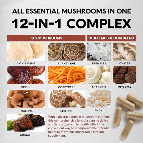 Mushroom Supplement - Organic Lion's Mane | Turkey Tail | Chaga | Cordyceps | Reishi - AB Mystery