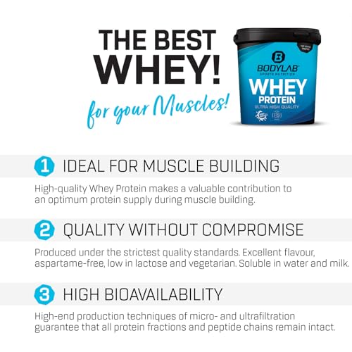 Bodylab24 Whey Protein Powder Milk Chocolate 1kg, Protein-Shake for Your Workout Bodylab24