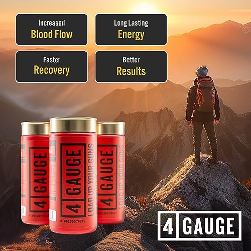 4 Gauge Natural Preworkout Without The Jitters | 30 Servings | Nitric Oxide Booster - AB Mystery