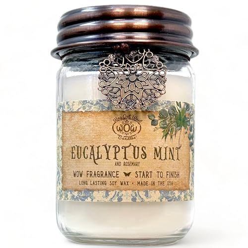 Scented Candle for Home by Way Out West Candles - Long Lasting Home Fragrance or Essential Oils - AB Mystery