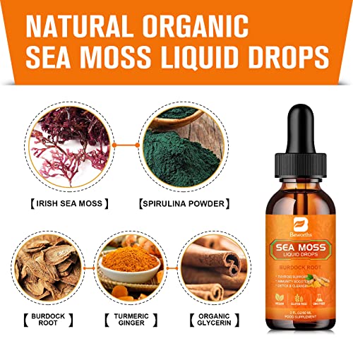 B BEWORTHS Sea Moss Liquid Drops - Organic Irish Sea Moss Raw Gel with Burdock Root - AB Mystery