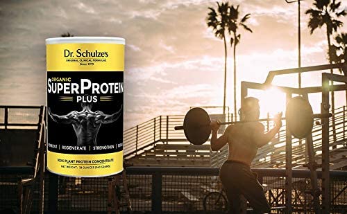 Dr. Schulze's | SuperProtein Plus | 100% Plant Protein Concentrate | Organic Powder Mix - AB Mystery