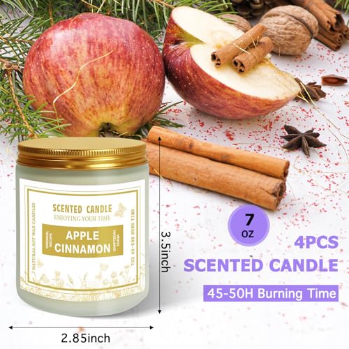 4 Pack Candles for Home Scented, Lavender & Cinnamon Candles Gifts for Women, 28 oz 200H Long - AB Mystery