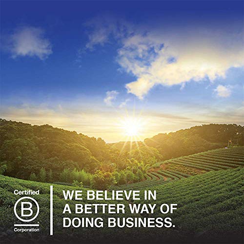 Garden of Life Organic Plant Protein Smooth Coffee Powder, 10 Servings - Vegan - AB Mystery