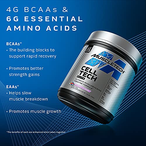 Creatine Powder | MuscleTech Cell-Tech Elite Creatine Powder | Post Workout Recovery - AB Mystery