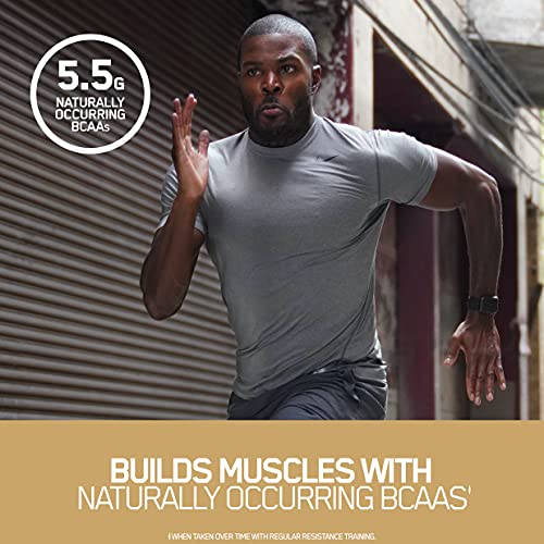 Optimum Nutrition Gold Standard 100% Whey Protein Powder 4.8 (Packaging May Vary) - AB Mystery