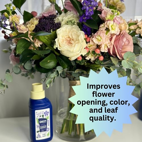 Chrysal Cut Flower Universal Food (10 ml/L Bottle) — Increase The Flower Boost with Floral Supplies - AB Mystery