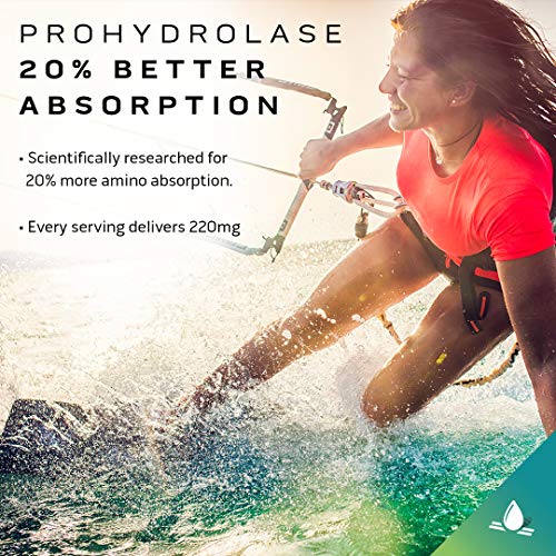 MuscleTech Creatine + Whey Protein Isolate Bundle Platinum Creatine Iso Whey Clear - AB Mystery