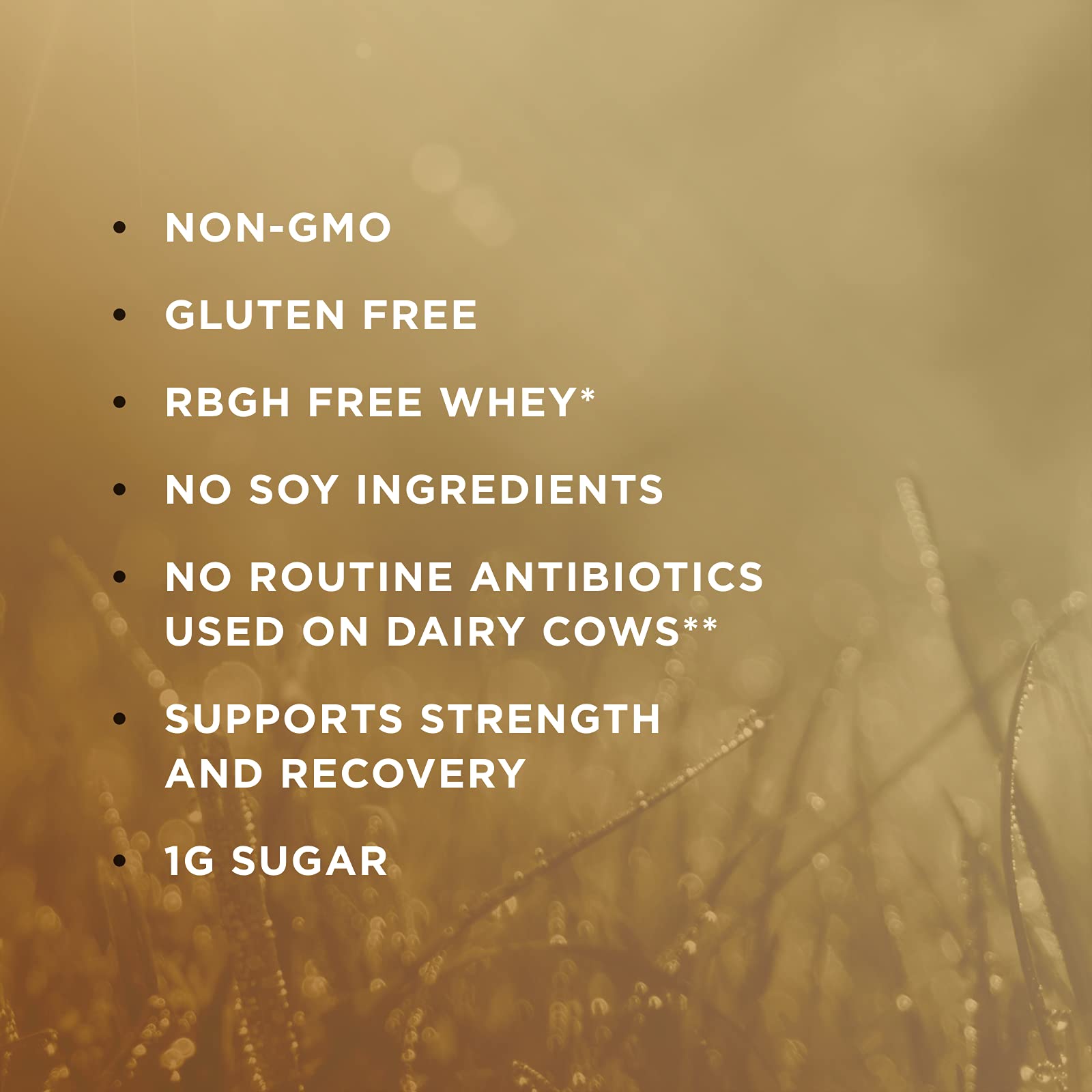 Solgar Whey To Go Natural Vanilla Flavour Protein Powder 340 g - Grass-Fed Whey from New Zealand Cows SOLGAR