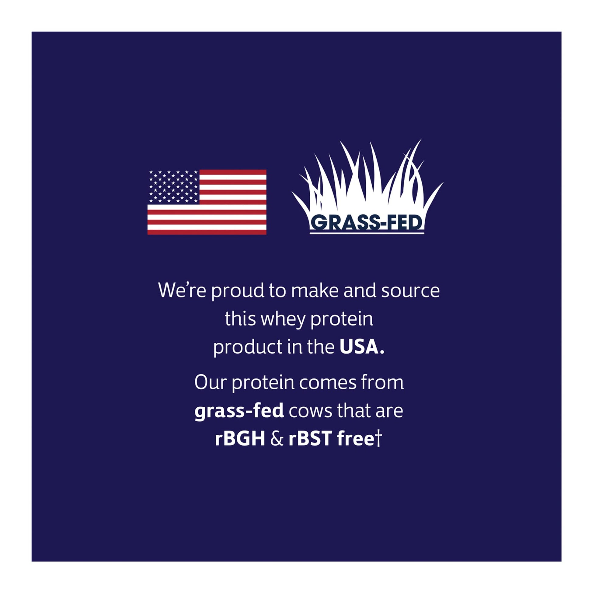 Biochem 100% Whey Sugar-Free Chocolate 20g, 12.5oz, Certified Vegetarian, Certified Glut - AB Mystery