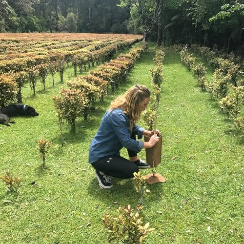 Kolorex Gut Care Candida Balance (Advanced Candida Care) 30ct - AB Mystery