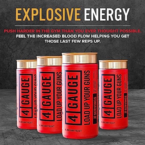 4 Gauge Natural Preworkout Without The Jitters | 30 Servings | Nitric Oxide Booster - AB Mystery