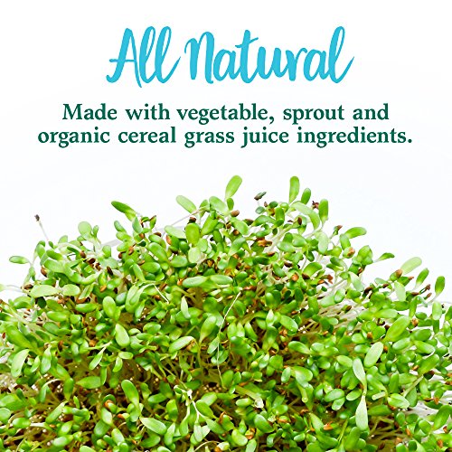 Garden of Life Perfect Food Super Green Formula - 14 Servings | 45 Superfoods, Greens - AB Mystery