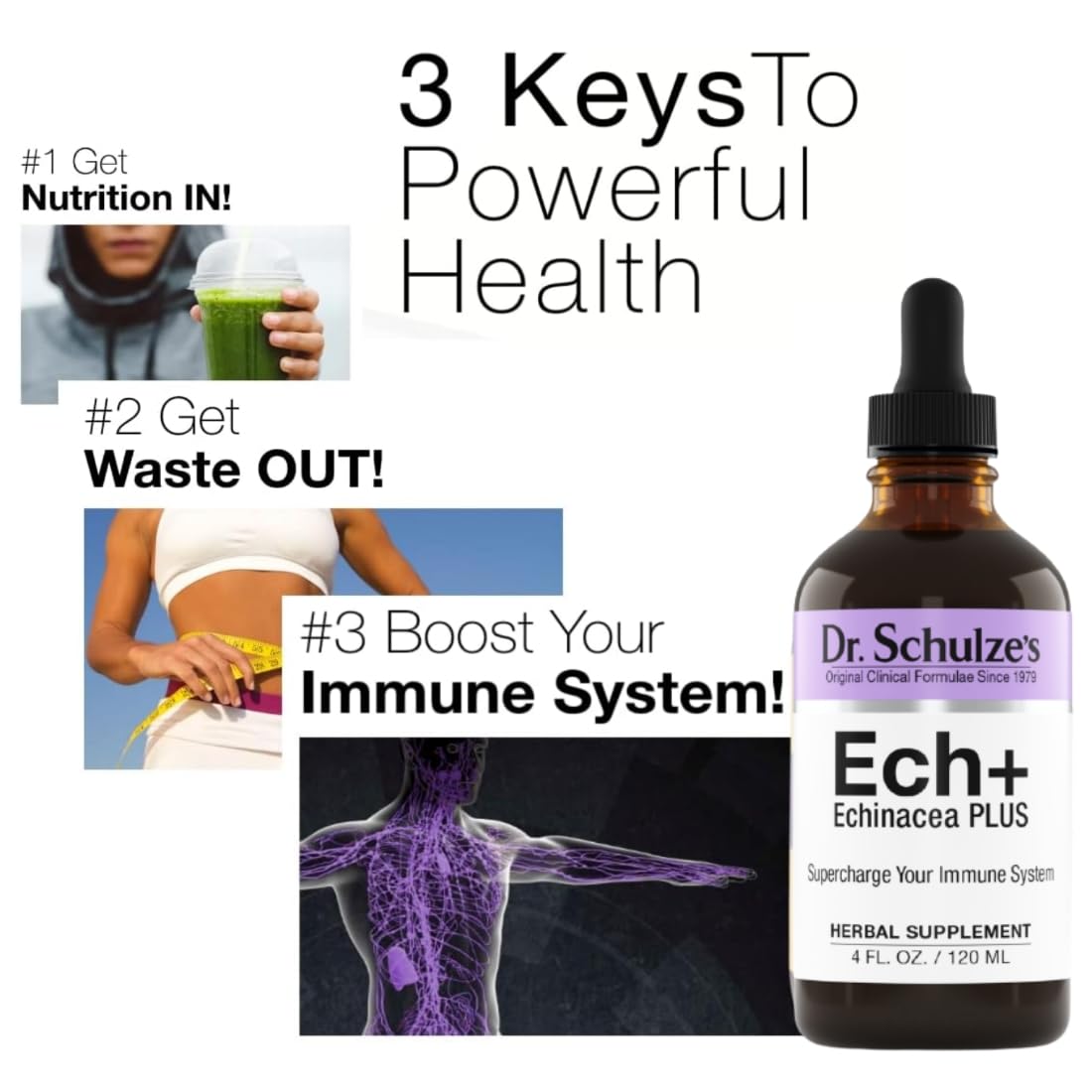 Dr. Schulze's Echinacea Plus | Echinacea Root and Seed | All Organic Extract | Gluten-Free - AB Mystery