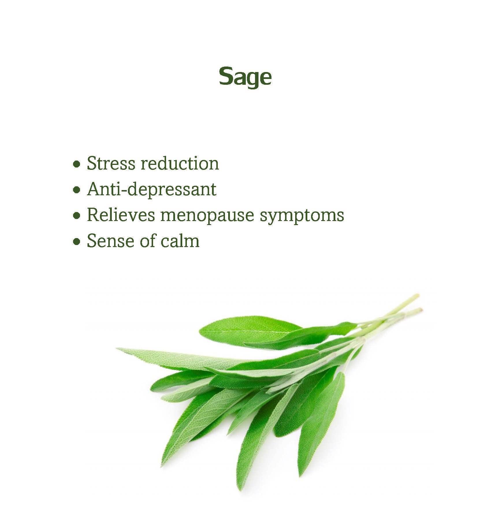 AcuBalance Hot Flashes Menopause Relief Bracelet-Calming Acupressure Band-Natural Relief - AB Mystery