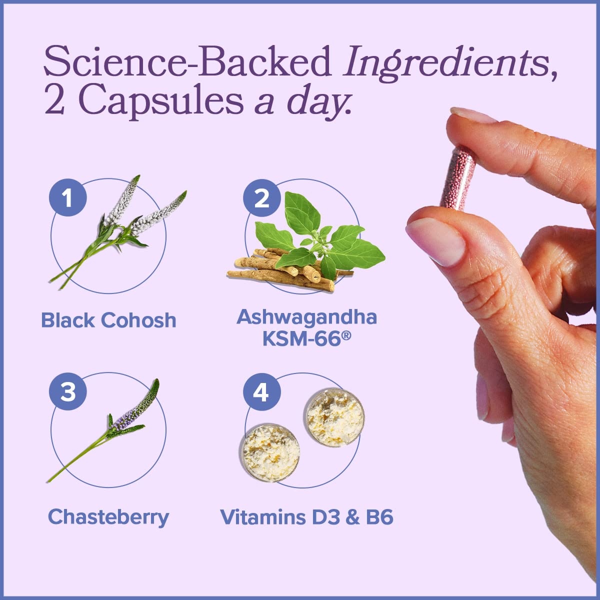 MENO Vitamins for Menopause, 30 Servings (Pack of 1) - Hormone-Free Menopause Supplements O Positiv