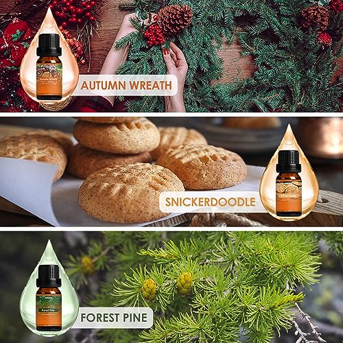 Autumn Fragrance Oil Set, Premium Fall Essential Oils for Diffuser and Candle Making -Cinnamon - AB Mystery