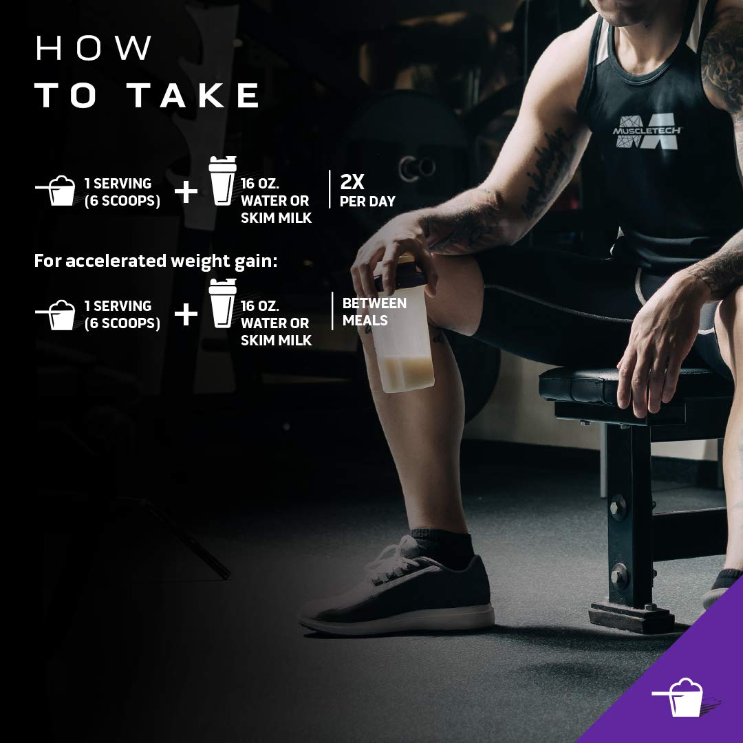 Mass Gainer MuscleTech 100% Mass Gainer Protein Powder Protein Powder for Muscle - AB Mystery