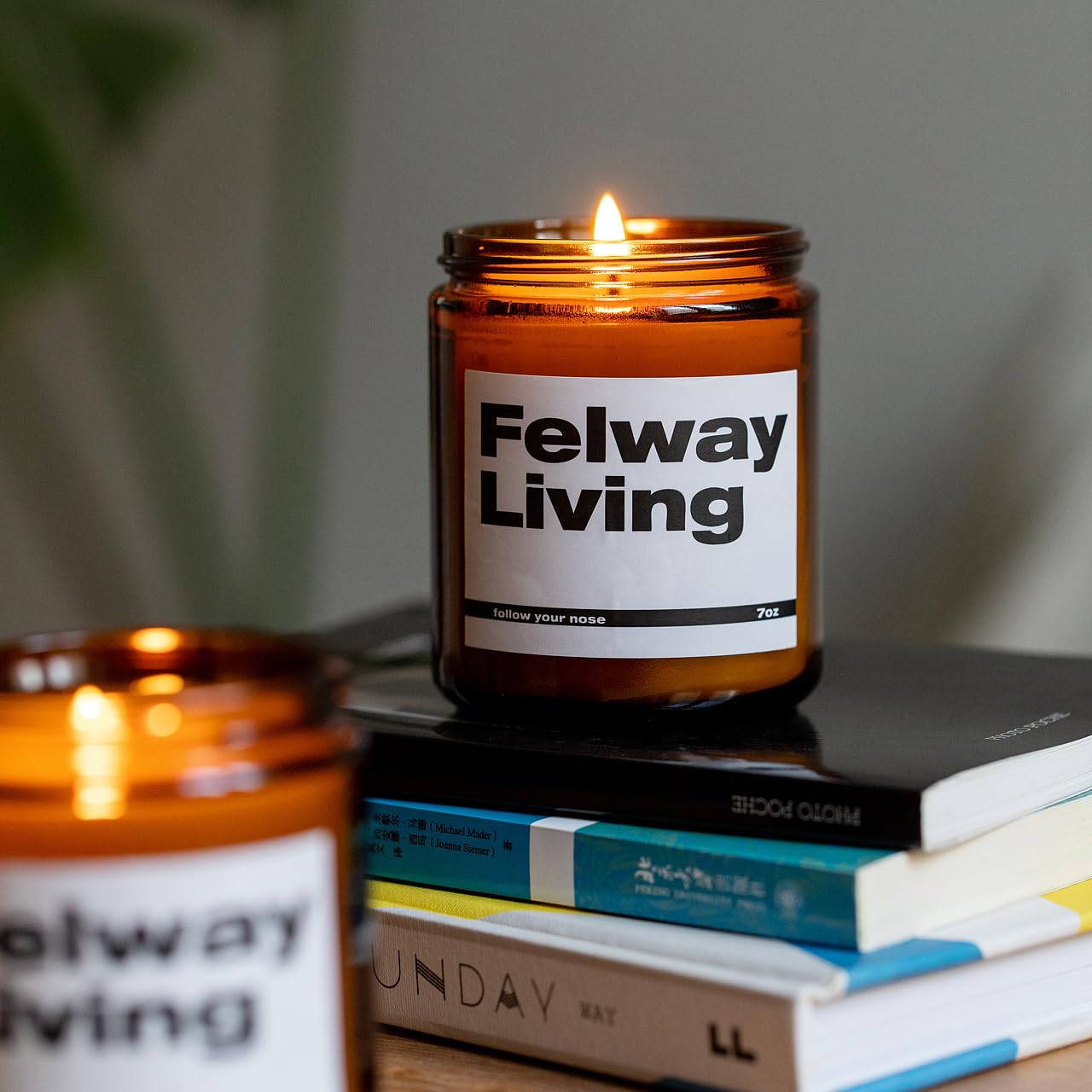 FELWAY Vanilla Scented Candle, Organic Soy Candle for Home Scented, 7 oz Long Lasting, Gift for Women's - AB Mystery