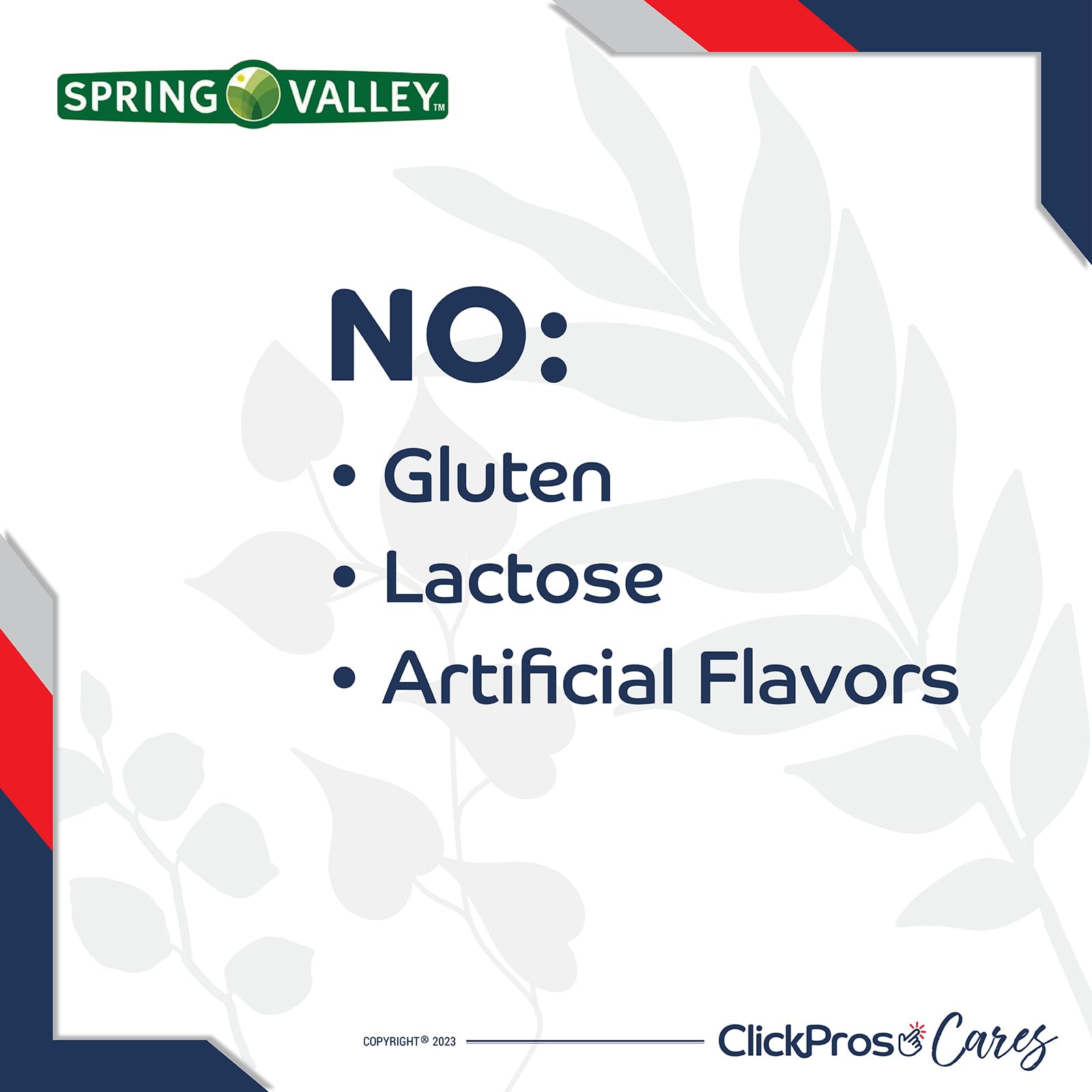 Spring Valley Prenatal Multivitamin/Multimineral for Pregnant and Nursing Women Dietary Supplement ClickPros