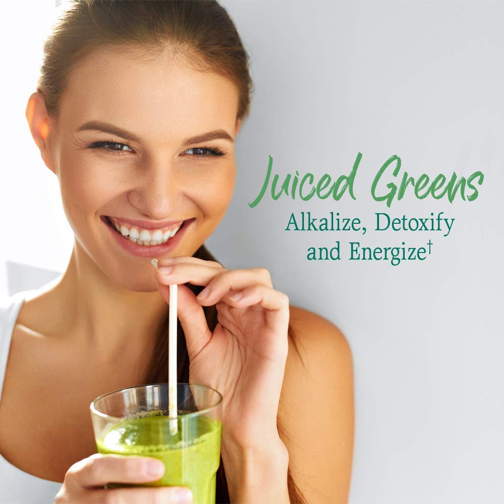 Garden of Life Raw Organic Perfect Food Alkalizer & Detoxifier Juiced Greens Superfood - AB Mystery
