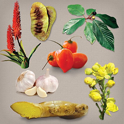 Dr. Schulze's Intestinal Formula #1 Colon Bowel Cleanse, 90 caps, 2 Count - AB Mystery