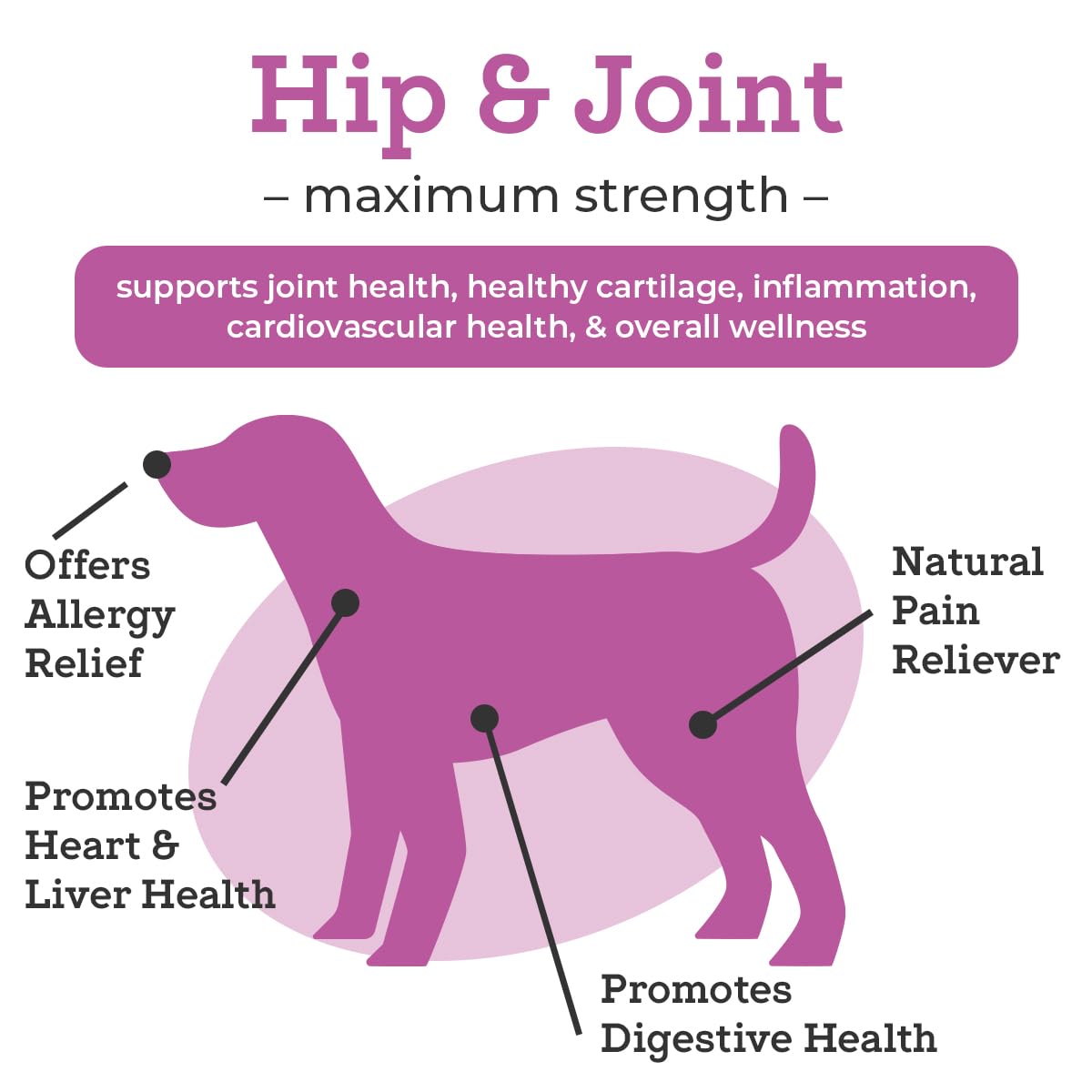 VetPro Dog Hip and Joint Supplement - Pain and Inflammation Relief Chews - AB Mystery