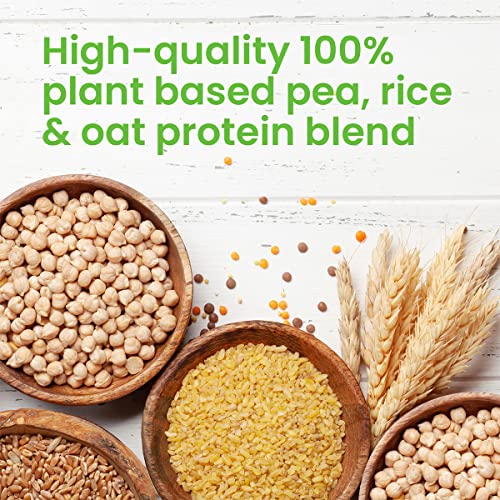 VPlab Vegan Protein Powder 500g - 16 Servings, 100% Plant Based and Natural Vegan Protein Shake vplab nutrition