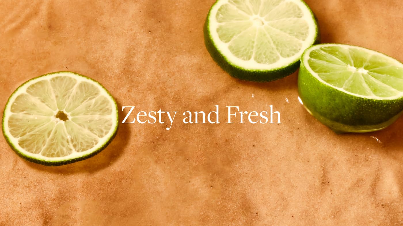 Aera Mini Skylar Lime Sands Home Fragrance Scent Refill - Notes of Lime and Sea Salt - Works - AB Mystery