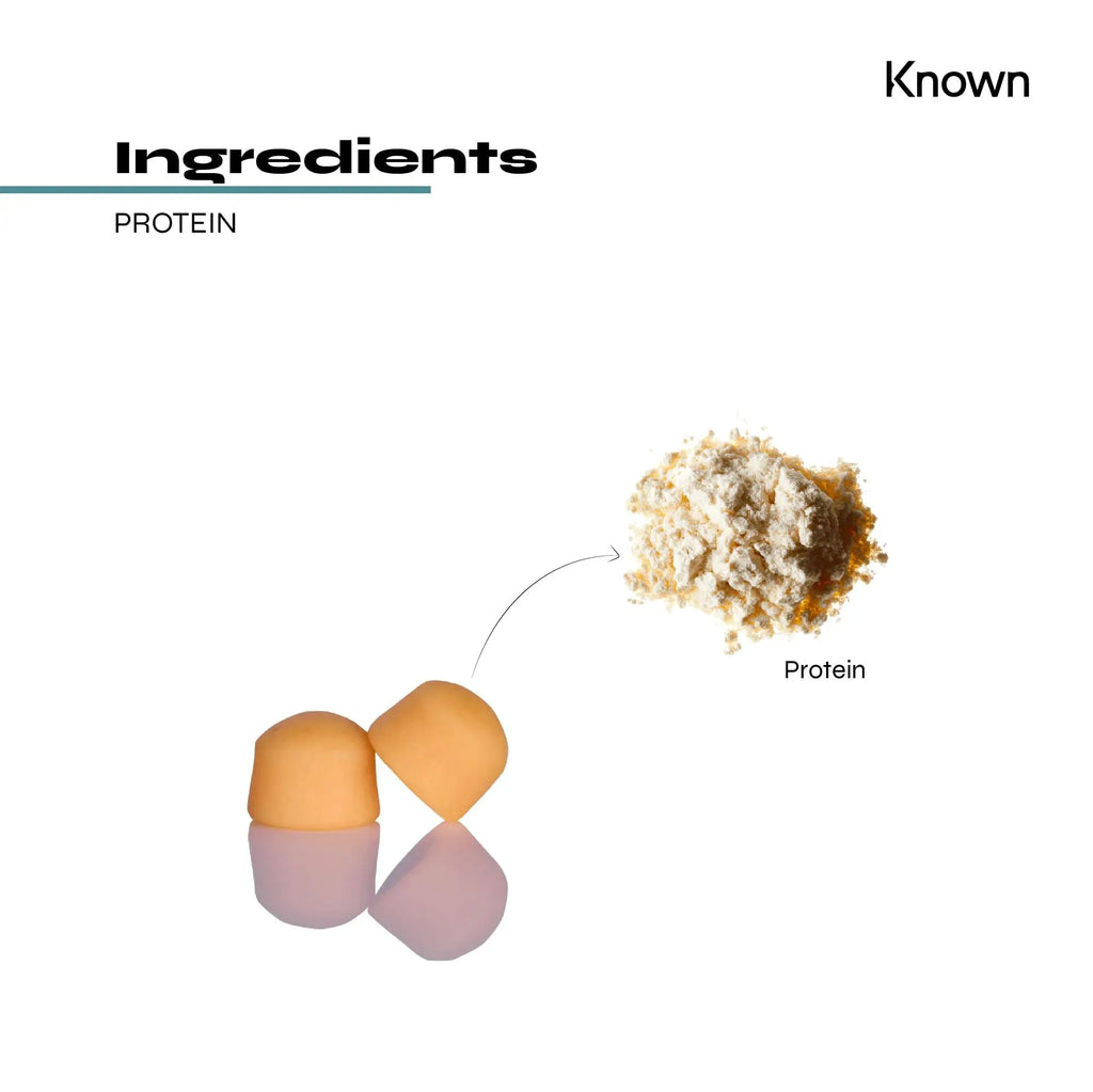 Protein 11g Gummies by Known Nutrition | Help Build and Maintain Healthy Muscle Mass Known