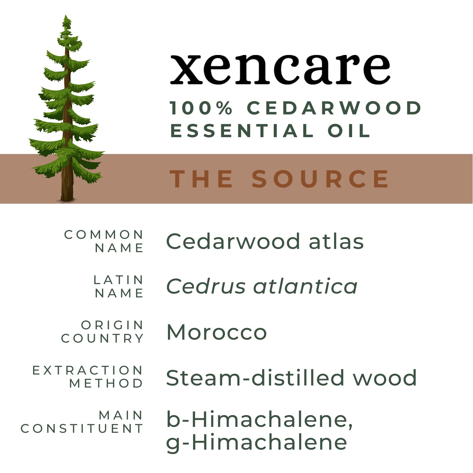 xencare Cedarwood USDA Organic Essential Oil | 100% Pure Natural Undiluted - AB Mystery