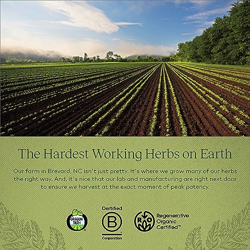 Gaia Herbs Fenugreek Seed - Helps Support Healthy Lactation and Breast Milk Production Gaia Herbs