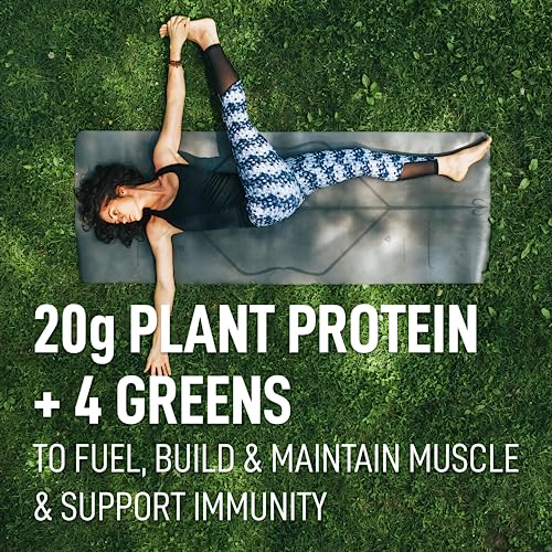 LeanFit Plant-Based Protein & Greens Natural Vanilla – 20g Plant Protein + 4 Leafy Greens - AB Mystery
