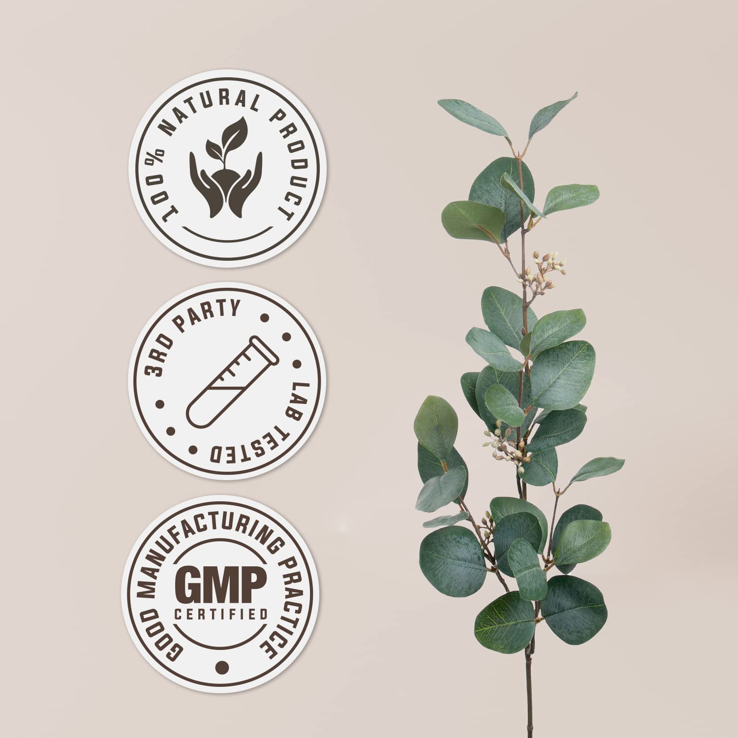 Wild Yam USDA Organic Alcohol-Free Extract | Dietary Supplement, High-Potency Tincture - AB Mystery