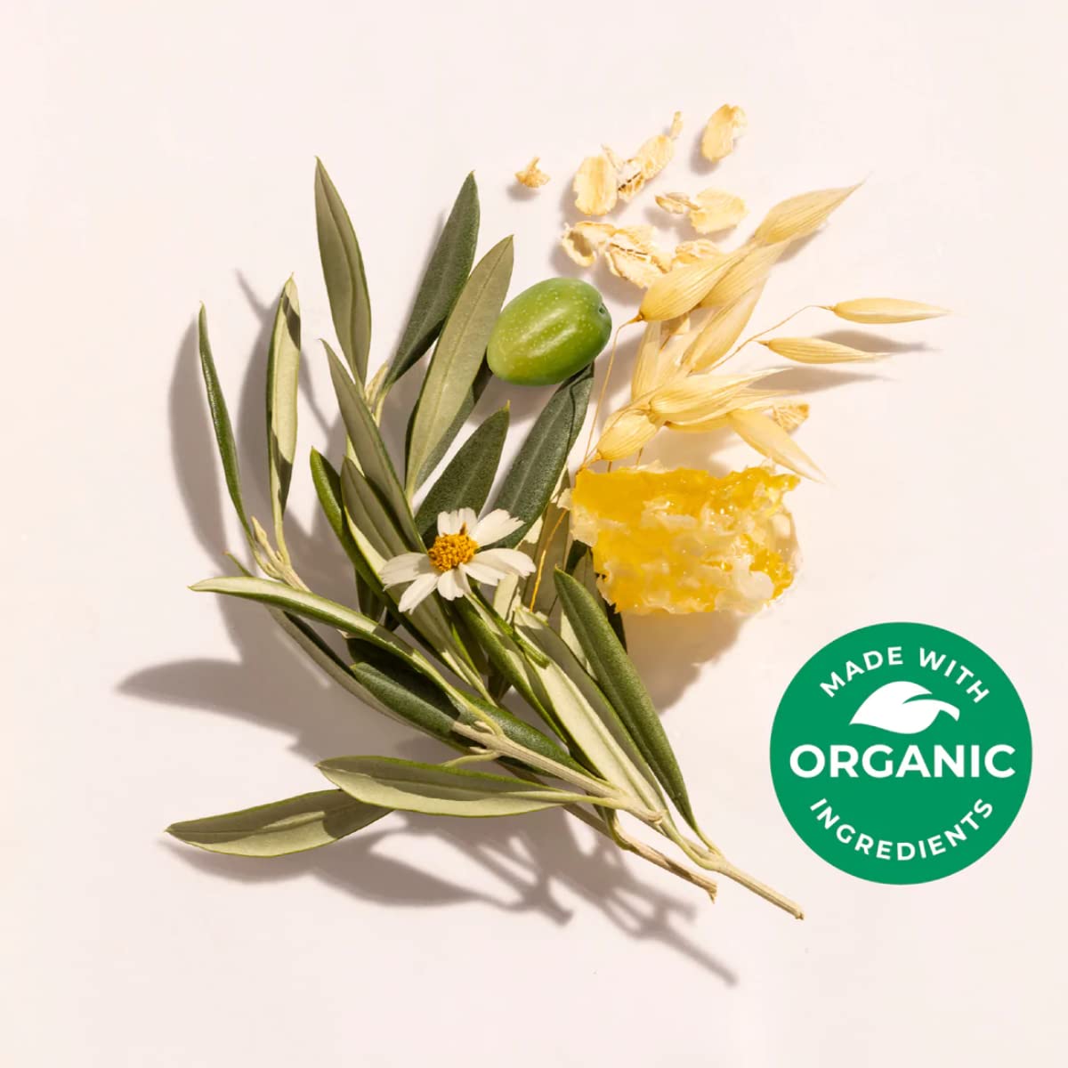 FemiClear Vaginal Itch Relief | Fast Feminine Itch Relief | Made With All-Natural & Organic Ingredients - AB Mystery