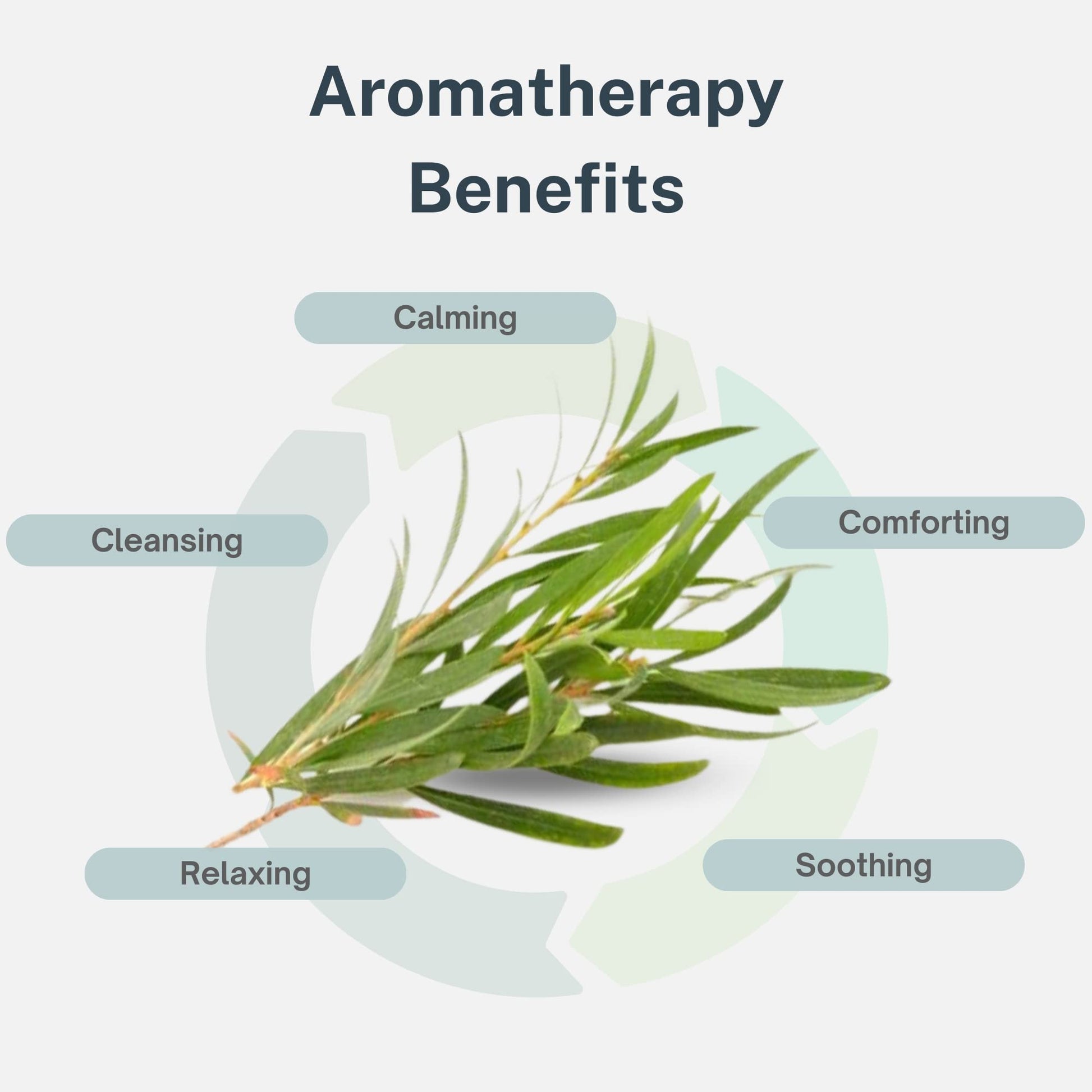 Air Oasis Premium Grade Essential Oils | 100% Pure Essential Oils Perfect for Diffuser, Humidifier - AB Mystery