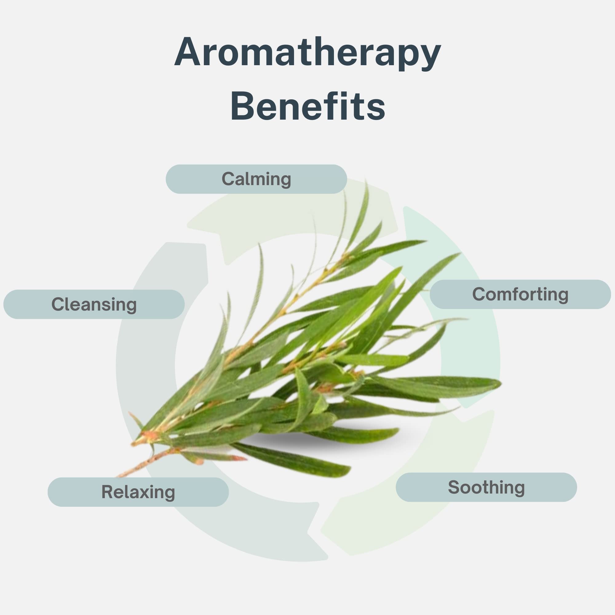 Air Oasis Premium Grade Essential Oils | 100% Pure Essential Oils Perfect for Diffuser, Humidifier - AB Mystery